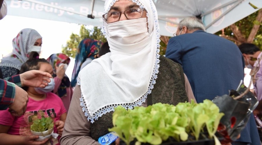 Ücretsiz fide dağıtımı