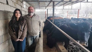 niversite mezunu salk atanamaynca hayvancla balad