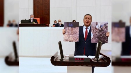 Üreticinin deposunda kalan patates ne olacak?