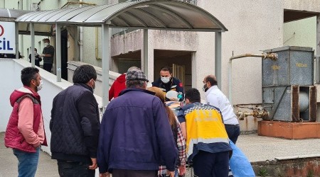Üzerine tomruk düşen 17 yaşındaki genç hayatını kaybetti
