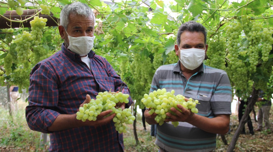 �z�m dal�nda 5 TL, markette 15 TL