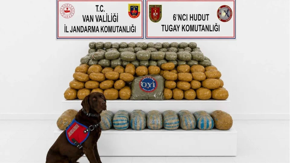 Van'da 291 kilogram toz esrar ele geçirildi