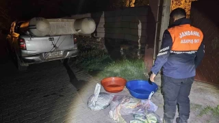 Van'da kaak avlanm tonlarca inci kefali ele geirildi