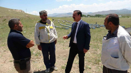 'Van'ın gerçek balı ilaçtır'