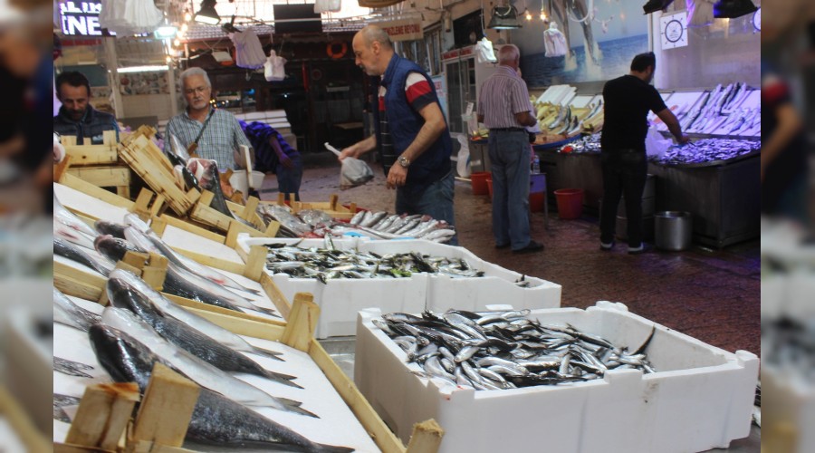 Vatanda tezgahtaki balklar seyretmekle yetiniyor