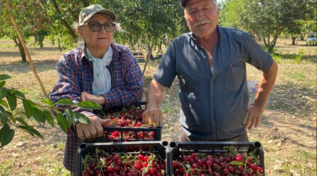  Vine fiyat reticisini sevindirdi