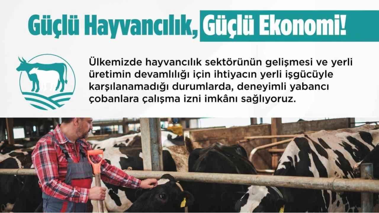 Yabancı çobanlar için çalışma izni başvuruları başladı