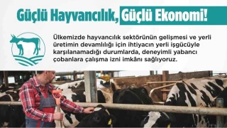 Yabanc obanlar iin alma izni bavurular balad