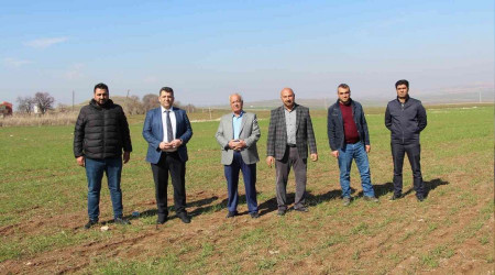 Yağışlar çiftçiyi umutlandırdı