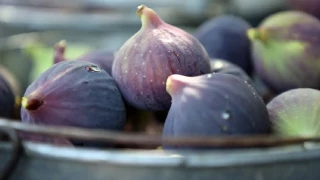 Yağmur, dolu ve sıcaklık siyah inciri vurdu