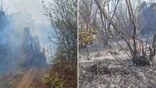 Yalova'daki orman yangını kontrol altına alındı