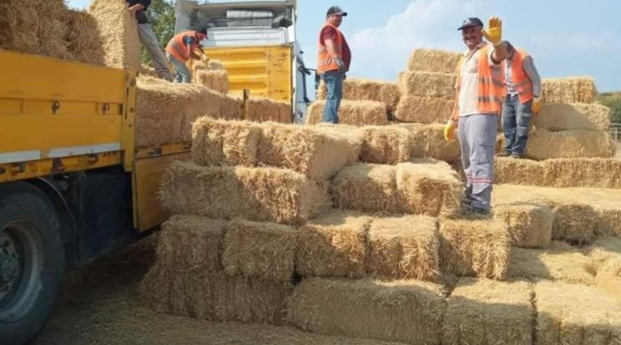 Yangında mağdur olan hayvan üreticilerine 1 tır yardım gönderildi