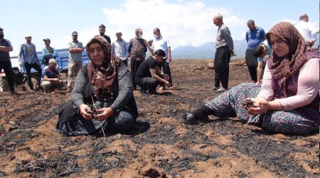 Yangında zarara uğrayan çiftçiler destek istedi