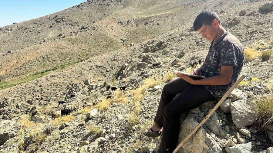 Yaylada obanlk yapan Muhammet, LGS'de Trkiye ikincisi oldu