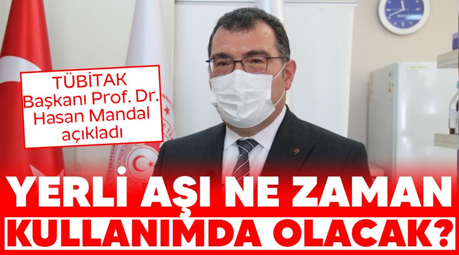 'Yerli a�� Kas�m-Aral�k ay�nda kullan�mda olacak'