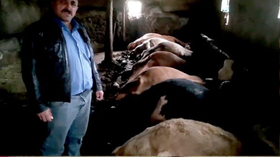 Yozgat'ta yıldırım isabet eden ahırdaki 7 büyükbaş hayvan telef oldu