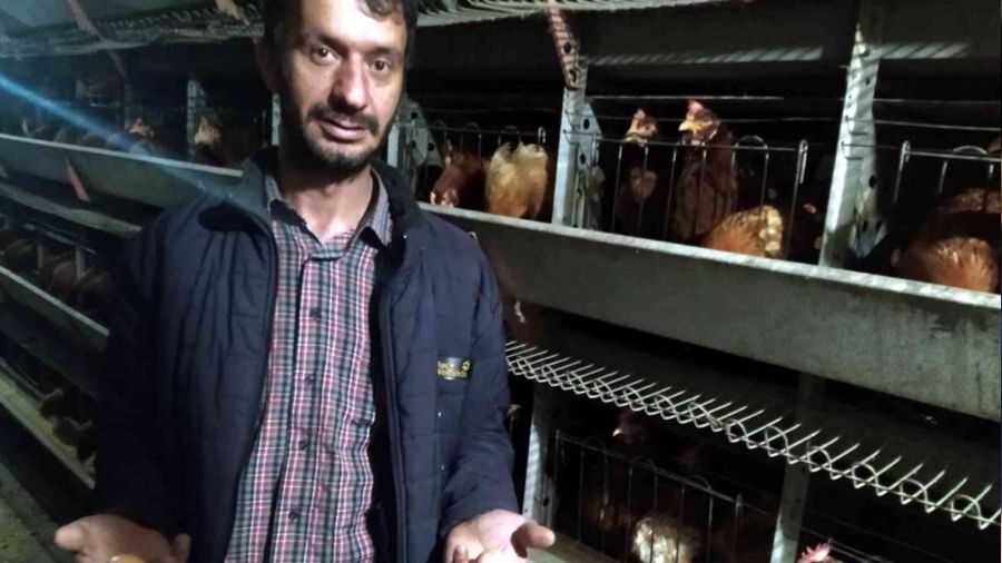Yumurta üreticileri devletten destek bekliyor