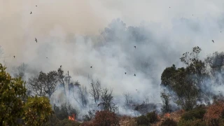 Yunanistan'da orman yangınları devam ediyor