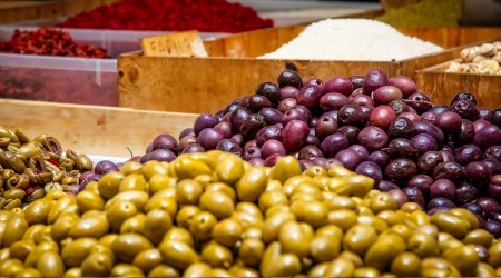Zeytin çekirdeği umut olabilir mi?