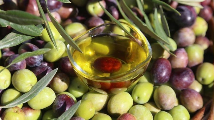 Zeytinya�� �retim tahminleri geriledi