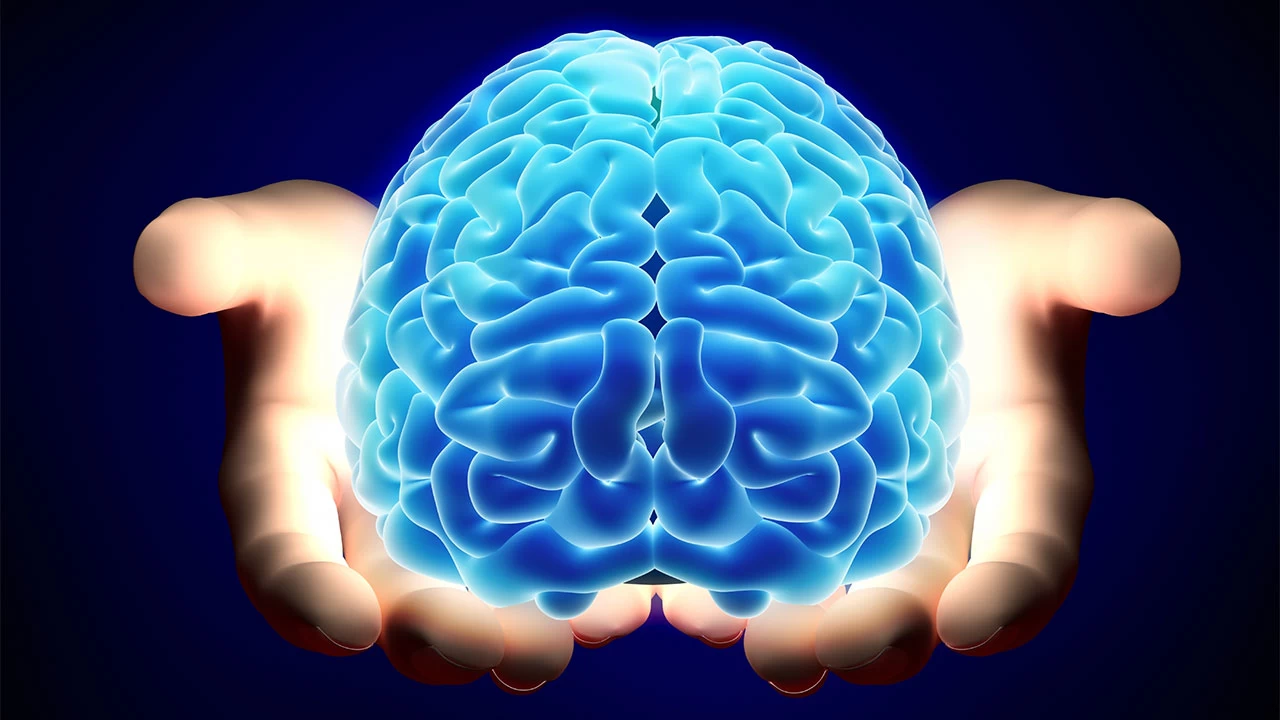 Zihinsel zindeli�in anahtar� bu besinlerde