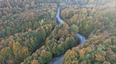 Zonguldak'ta 30 Eylül'e kadar ormanlara giriş yasak