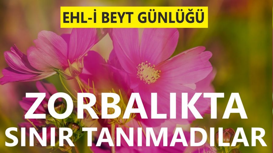 Zorbalıkta sınır tanımadılar