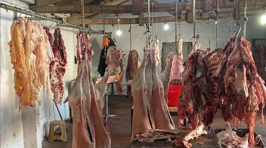 1 ton 800 kilogram ete el konuldu