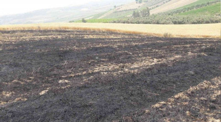 12 dönüm buğday ekili tarla yandı