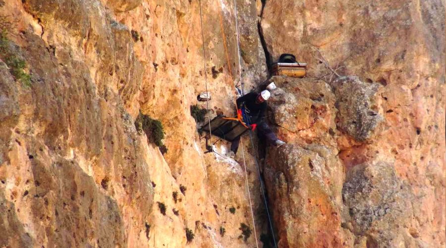 150 metrelik kayal�klardan bal toplad�