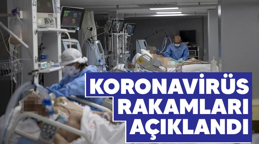 5 bin 12 kişinin Kovid-19 testi pozitif çıktı, 53 kişi yaşamını yitirdi