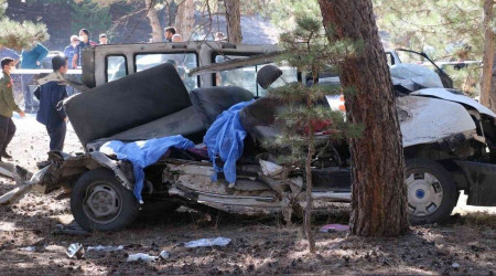 5 çocuğun öldüğü kazada sorumlu 'çam ağacı' oldu