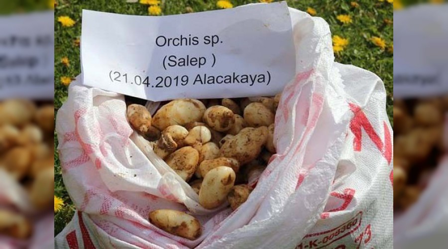 6 kilosuna 48 bin TL ceza kesilmişti