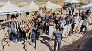 7,7 milyon yllk kazlarda gelime