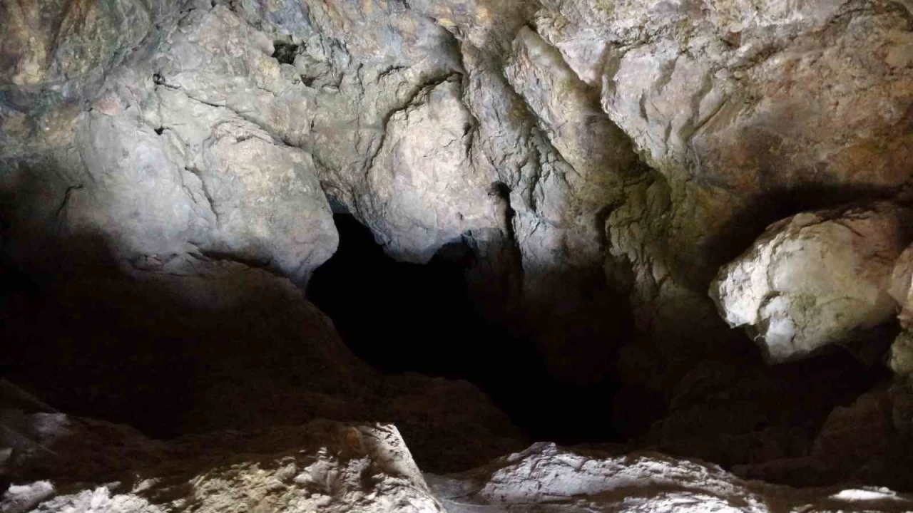 86 bin yıllık mağarada 20 bin bulguya ulaşıldı
