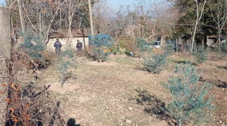 Ağaçta kalp krizi geçiren adam hayatını kaybetti