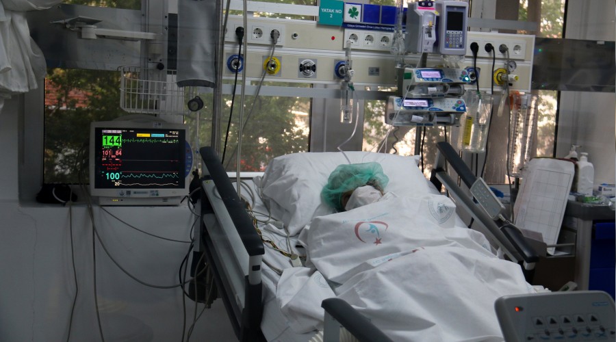 A�r� kesiciler b�brekleri bitiriyor