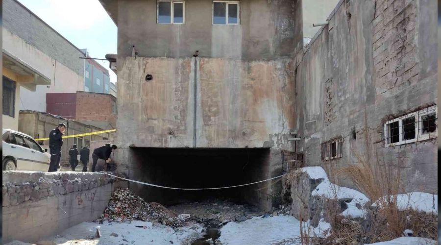 Ar'da akl almaz hrszlk