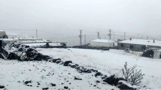 Ar'da yksek kesimlere mevsimin ilk kar dt