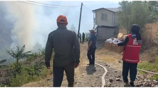 Alanya'daki orman yangnlar ksmen kontrol altnda