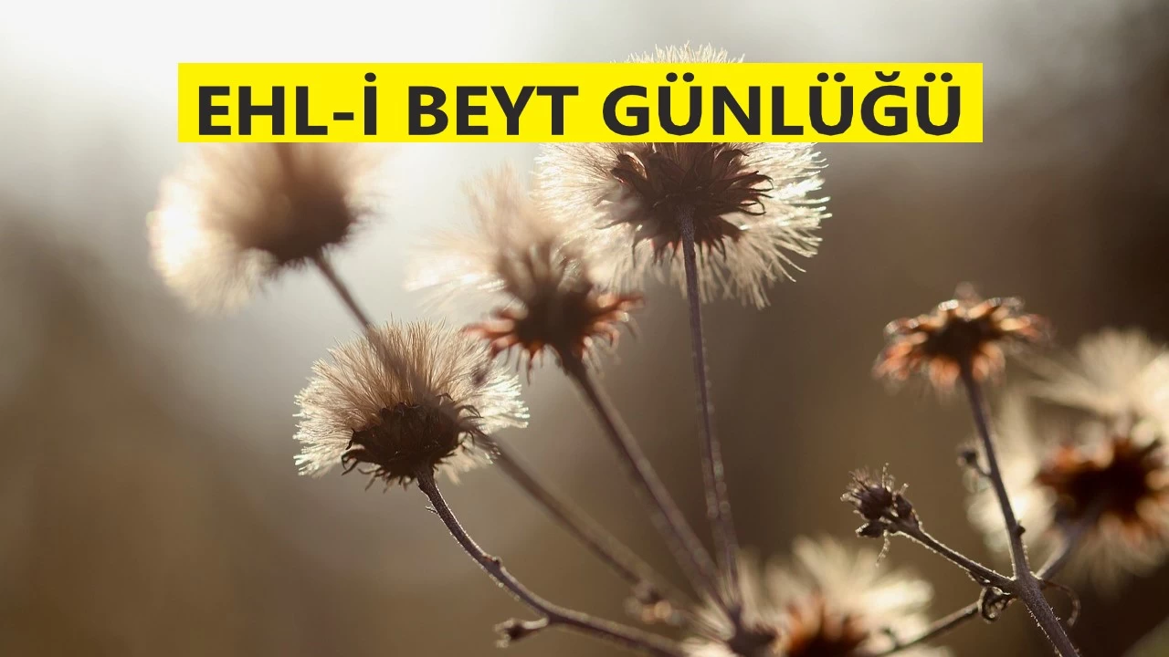 Âlim taslağıyla âlim bir olmaz