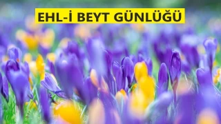 ‘Allah’ın yarattıklarının büyüklüğüne bakın’