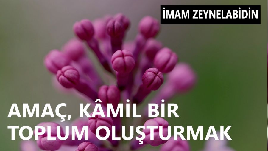 Amaç, kâmil bir toplum oluşturmak
