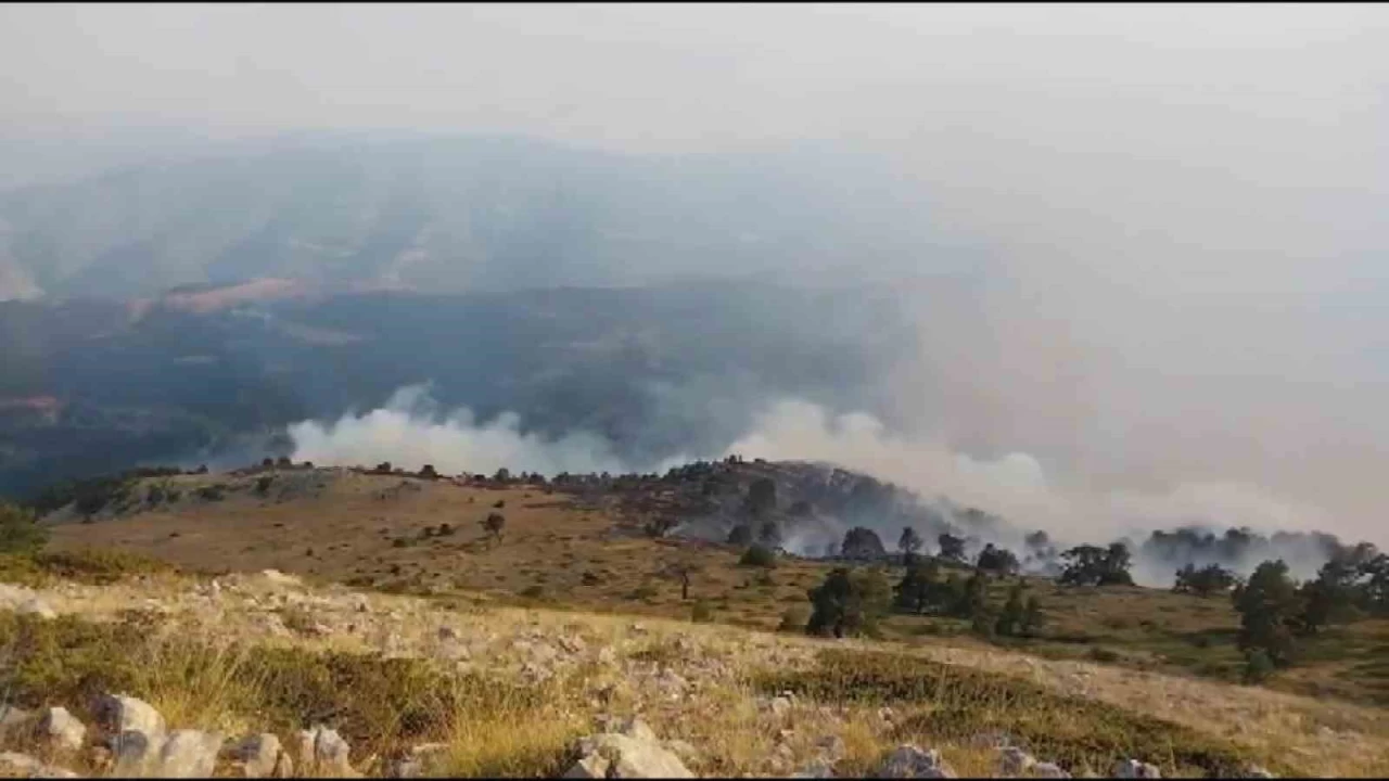 Amasya'da orman yang�n�: 35 hektar alan zarar g�rd�