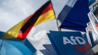 Anket: AfD ilk kez yüzde 29,5 oy oranına ulaştı