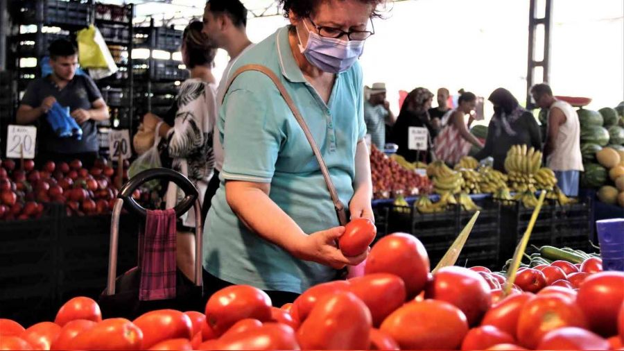 Antalya'da yayla domatesi pazarla buluştu