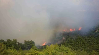 Antalya'daki orman yangınında 7 ev boşaltıldı