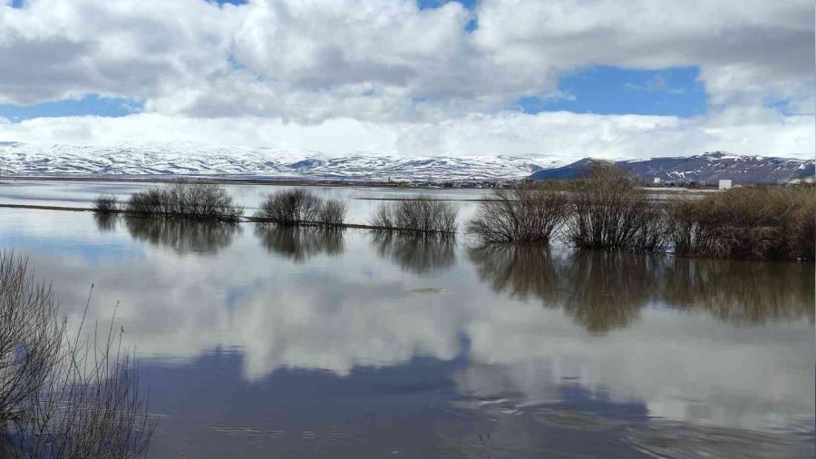 Ardahan ovası sular altında kaldı