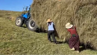 Ardahan'da çiftçiler zorlu şartlara rağmen hasada devam ediyor