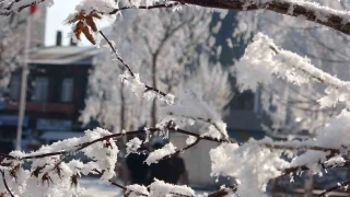 Ardahan'da Sibirya so�uklar� devam ediyor